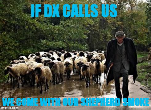 gxi41.jpg