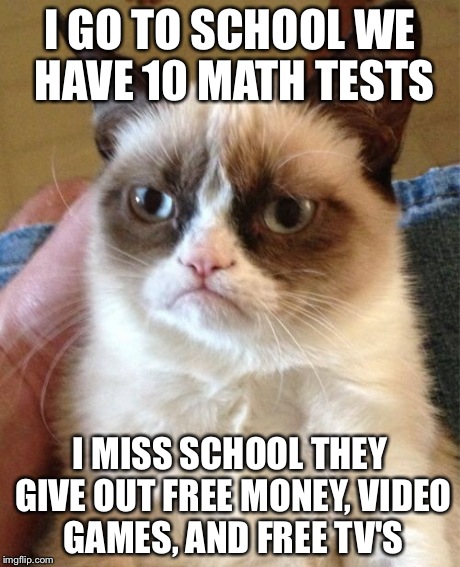 Grumpy Cat | I GO TO SCHOOL WE HAVE 10 MATH TESTS I MISS SCHOOL THEY GIVE OUT FREE MONEY, VIDEO GAMES, AND FREE TV'S | image tagged in memes,grumpy cat | made w/ Imgflip meme maker