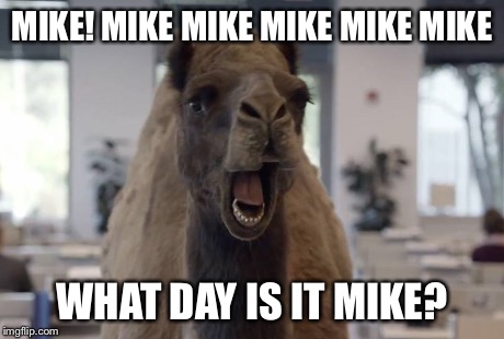 Hump Day Mike Imgflip. 