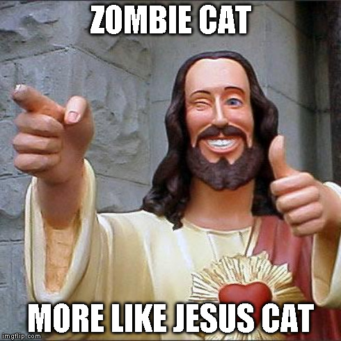 ZOMBIE CAT MORE LIKE JESUS CAT | made w/ Imgflip meme maker