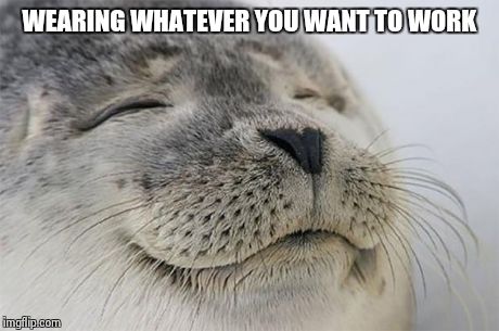 Satisfied Seal | WEARING WHATEVER YOU WANT TO WORK | image tagged in memes,satisfied seal | made w/ Imgflip meme maker