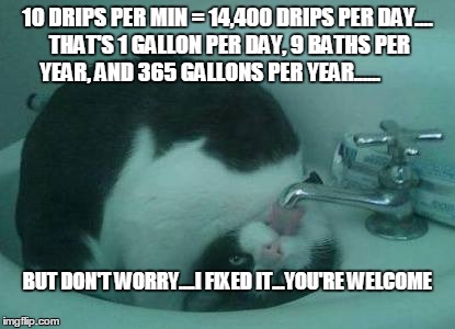 Silly Kitty | 10 DRIPS PER MIN = 14,400 DRIPS PER DAY.... THAT'S 1 GALLON PER DAY, 9 BATHS PER YEAR, AND 365 GALLONS PER YEAR...... BUT DON'T WORRY....I F | image tagged in cats | made w/ Imgflip meme maker