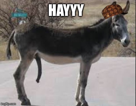 HAYYY | image tagged in hayyy,scumbag | made w/ Imgflip meme maker