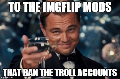 Leonardo Dicaprio Cheers | TO THE IMGFLIP MODS THAT BAN THE TROLL ACCOUNTS | image tagged in memes,leonardo dicaprio cheers | made w/ Imgflip meme maker