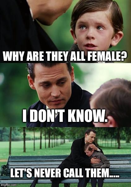 Finding Neverland Meme | WHY ARE THEY ALL FEMALE? I DON'T KNOW. LET'S NEVER CALL THEM..... | image tagged in memes,finding neverland | made w/ Imgflip meme maker
