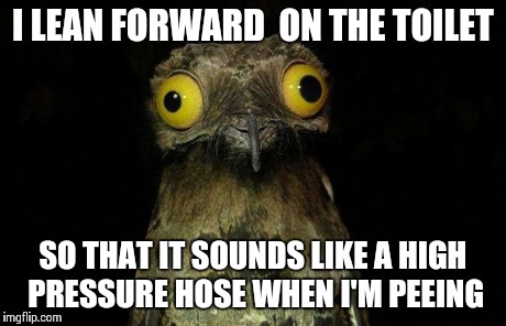 Weird Stuff I Do Potoo | I LEAN FORWARD  ON THE TOILET SO THAT IT SOUNDS LIKE A HIGH PRESSURE HOSE WHEN I'M PEEING | image tagged in memes,weird stuff i do potoo | made w/ Imgflip meme maker