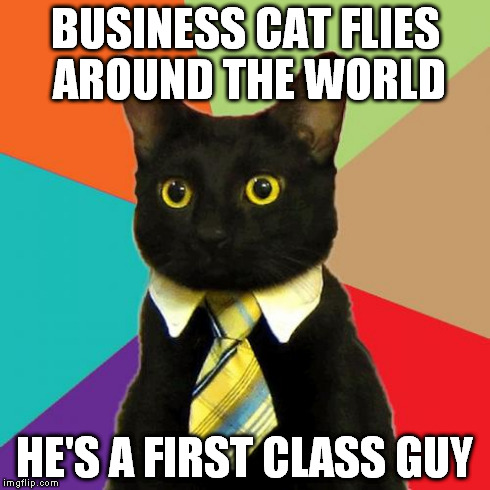 Am I the only one who gets this? | BUSINESS CAT FLIES AROUND THE WORLD HE'S A FIRST CLASS GUY | image tagged in memes,business cat | made w/ Imgflip meme maker