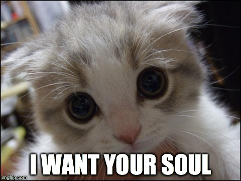 I WANT YOUR SOUL | image tagged in cats,memes | made w/ Imgflip meme maker