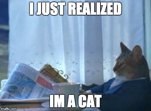 I Should Buy A Boat Cat Meme | I JUST REALIZED IM A CAT | image tagged in memes,i should buy a boat cat | made w/ Imgflip meme maker