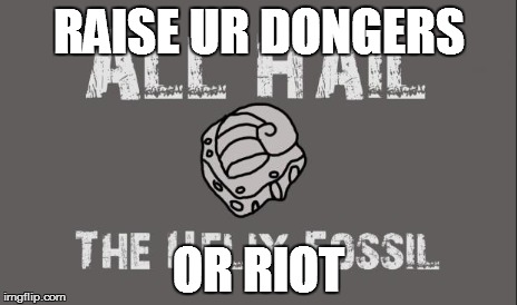 PRAISE IT | RAISE UR DONGERS OR RIOT | image tagged in praise it | made w/ Imgflip meme maker