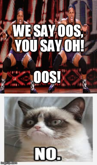 WE SAY OOS, YOU SAY OH! OOS! | image tagged in WWE | made w/ Imgflip meme maker