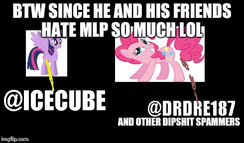 BTW SINCE HE AND HIS FRIENDS HATE MLP SO MUCH LOL AND OTHER DIPSHIT SPAMMERS | made w/ Imgflip meme maker