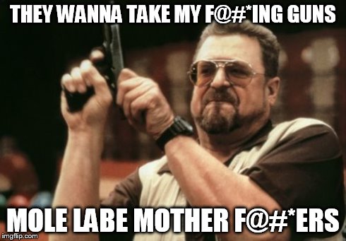 Am I The Only One Around Here Meme | THEY WANNA TAKE MY F@#*ING GUNS MOLE LABE MOTHER F@#*ERS | image tagged in memes,am i the only one around here | made w/ Imgflip meme maker