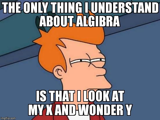 Futurama Fry | THE ONLY THING I UNDERSTAND ABOUT ALGIBRA IS THAT I LOOK AT MY X AND WONDER Y | image tagged in memes,futurama fry | made w/ Imgflip meme maker