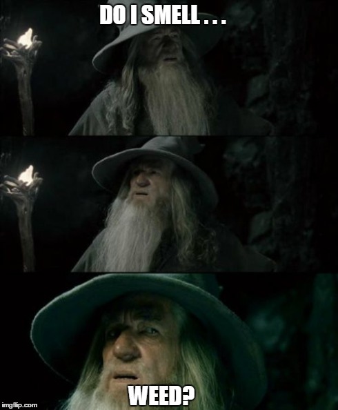 Who's Smokin The Weed?   | DO I SMELL . . . WEED? | image tagged in memes,confused gandalf,lol,weed,gandalf | made w/ Imgflip meme maker