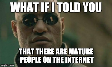 Matrix Morpheus Meme | WHAT IF I TOLD YOU THAT THERE ARE MATURE PEOPLE ON THE INTERNET | image tagged in memes,matrix morpheus | made w/ Imgflip meme maker