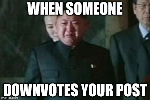 Kim Jong Un Sad Meme | WHEN SOMEONE DOWNVOTES YOUR POST | image tagged in memes,kim jong un sad | made w/ Imgflip meme maker