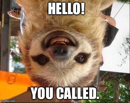 Smile sloth | HELLO! YOU CALLED. | image tagged in smile sloth | made w/ Imgflip meme maker