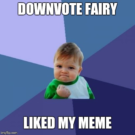 Success Kid Meme | DOWNVOTE FAIRY LIKED MY MEME | image tagged in memes,success kid | made w/ Imgflip meme maker