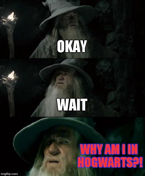 Confused Gandalf | OKAY WAIT WHY AM I IN HOGWARTS?! | image tagged in memes,confused gandalf | made w/ Imgflip meme maker
