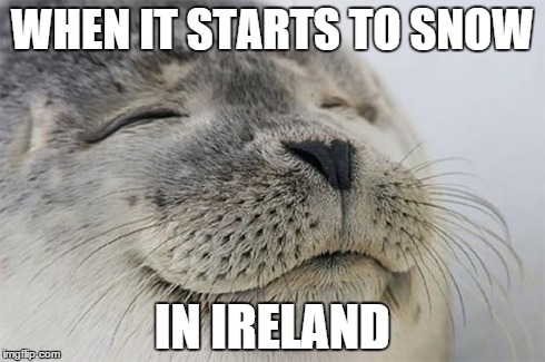 Satisfied Seal Meme | WHEN IT STARTS TO SNOW IN IRELAND | image tagged in memes,satisfied seal | made w/ Imgflip meme maker