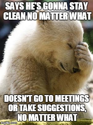 Facepalm Bear | SAYS HE'S GONNA STAY CLEAN NO MATTER WHAT DOESN'T GO TO MEETINGS OR TAKE SUGGESTIONS, NO MATTER WHAT | image tagged in memes,facepalm bear | made w/ Imgflip meme maker