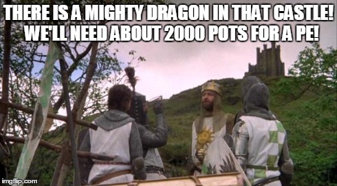 Camelot | THERE IS A MIGHTY DRAGON IN THAT CASTLE!  WE'LL NEED ABOUT 2000 POTS FOR A PE! | image tagged in camelot | made w/ Imgflip meme maker