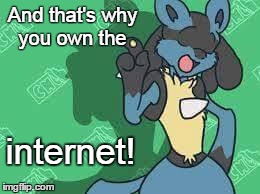 And that's why you own the internet! | image tagged in lucario,win,internet | made w/ Imgflip meme maker