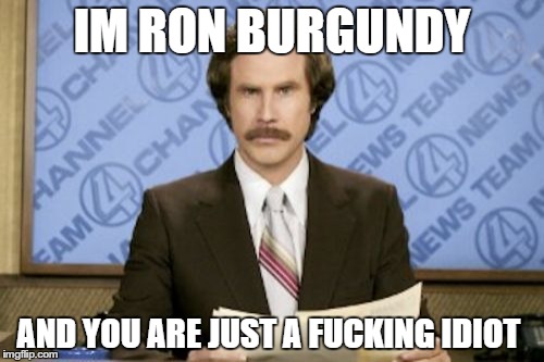 Ron Burgundy Meme | IM RON BURGUNDY AND YOU ARE JUST A F**KING IDIOT | image tagged in memes,ron burgundy | made w/ Imgflip meme maker