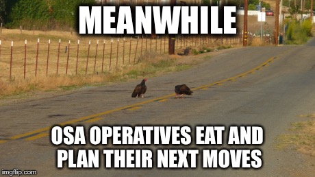 Scientology is for the birds | MEANWHILE OSA OPERATIVES EAT AND PLAN THEIR NEXT MOVES | image tagged in nature | made w/ Imgflip meme maker