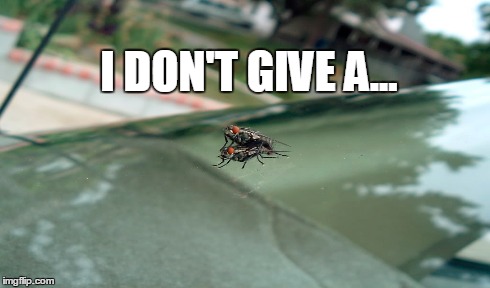 I DON'T GIVE A... | image tagged in don't care | made w/ Imgflip meme maker
