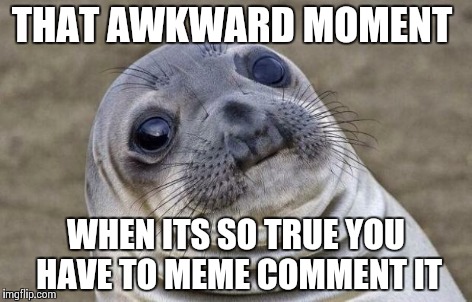 Awkward Moment Sealion Meme | THAT AWKWARD MOMENT WHEN ITS SO TRUE YOU HAVE TO MEME COMMENT IT | image tagged in memes,awkward moment sealion | made w/ Imgflip meme maker