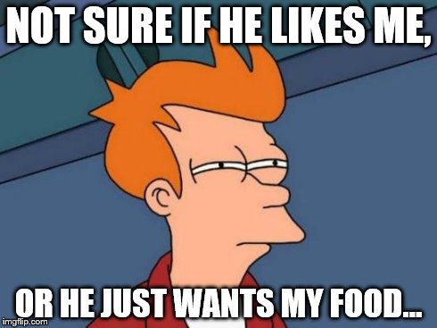 Futurama Fry | NOT SURE IF HE LIKES ME, OR HE JUST WANTS MY FOOD... | image tagged in memes,futurama fry | made w/ Imgflip meme maker