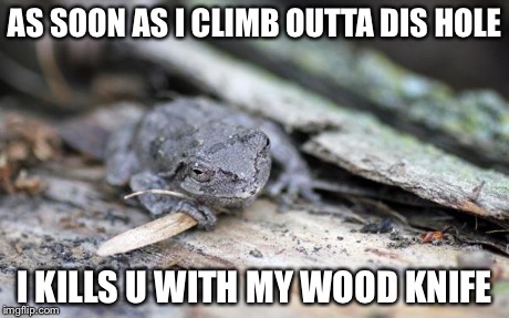 AS SOON AS I CLIMB OUTTA DIS HOLE I KILLS U WITH MY WOOD KNIFE | image tagged in assassination frog | made w/ Imgflip meme maker