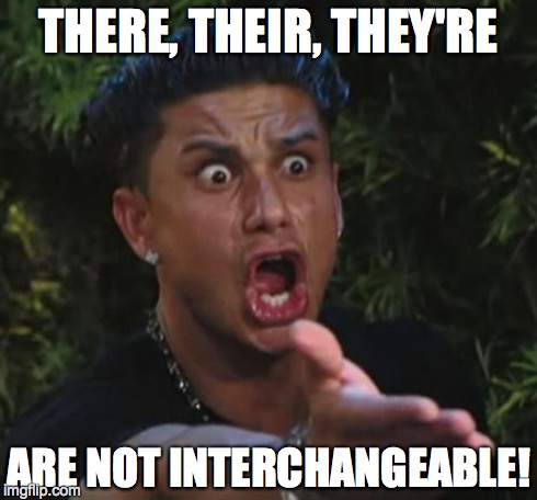 DJ Pauly D | THERE, THEIR, THEY'RE ARE NOT INTERCHANGEABLE! | image tagged in memes,dj pauly d | made w/ Imgflip meme maker