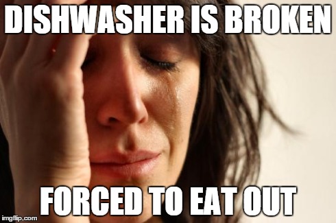 First World Problems Meme | DISHWASHER IS BROKEN FORCED TO EAT OUT | image tagged in memes,first world problems | made w/ Imgflip meme maker