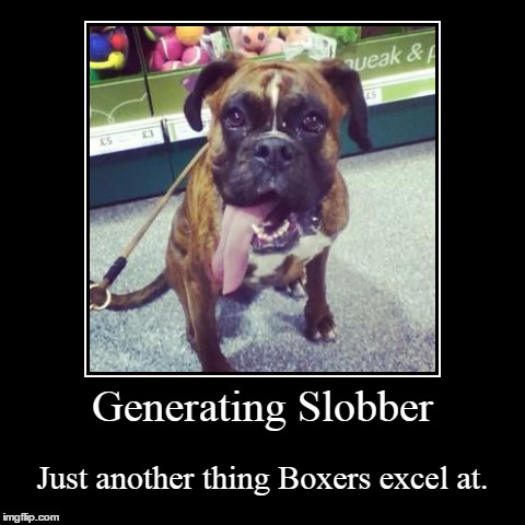 Excel at Boxing. | image tagged in funny,demotivationals,dog,boxer | made w/ Imgflip demotivational maker