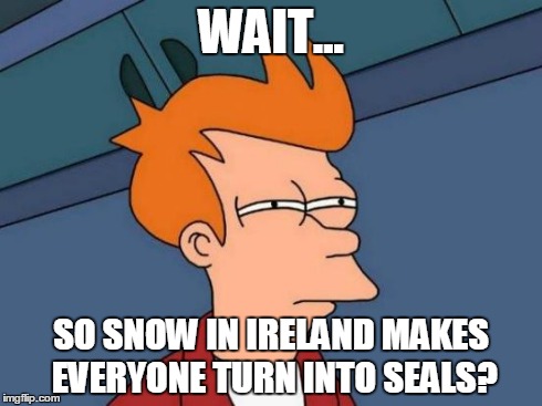 Futurama Fry Meme | WAIT... SO SNOW IN IRELAND MAKES EVERYONE TURN INTO SEALS? | image tagged in memes,futurama fry | made w/ Imgflip meme maker