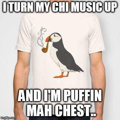 I TURN MY CHI MUSIC UP AND I'M PUFFIN MAH CHEST.. | image tagged in nick jonas,jealous,puffin | made w/ Imgflip meme maker
