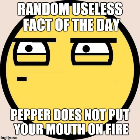 Random, Useless Fact of the Day | RANDOM USELESS FACT OF THE DAY PEPPER DOES NOT PUT YOUR MOUTH ON FIRE | image tagged in random useless fact of the day | made w/ Imgflip meme maker