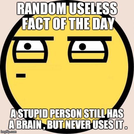 Random, Useless Fact of the Day | RANDOM USELESS FACT OF THE DAY A STUPID PERSON STILL HAS A BRAIN , BUT NEVER USES IT . | image tagged in random useless fact of the day | made w/ Imgflip meme maker