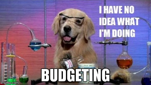 No Idea Dog: I have no idea what I'm doing. Budgeting.