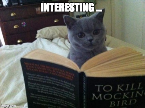 Reading Cat | INTERESTING ... | image tagged in reading cat | made w/ Imgflip meme maker