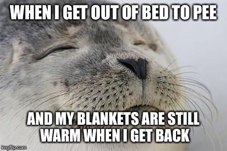 Satisfied Seal Meme | WHEN I GET OUT OF BED TO PEE AND MY BLANKETS ARE STILL WARM WHEN I GET BACK | image tagged in memes,satisfied seal,AdviceAnimals | made w/ Imgflip meme maker