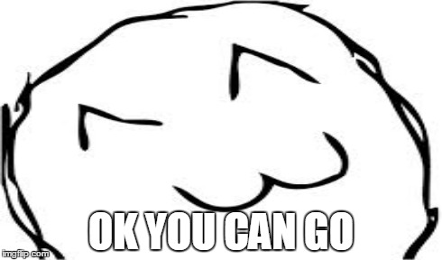 OK YOU CAN GO | made w/ Imgflip meme maker