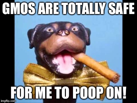 Triumph Comic To Poop On | GMOS ARE TOTALLY SAFE FOR ME TO POOP ON! | image tagged in triumph comic to poop on | made w/ Imgflip meme maker