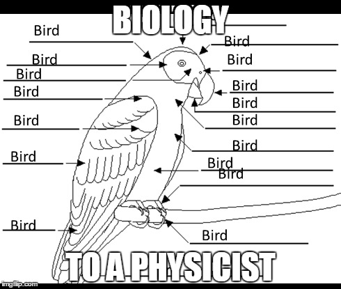 ummmmm...Bird?.... | BIOLOGY TO A PHYSICIST | image tagged in memes,science | made w/ Imgflip meme maker