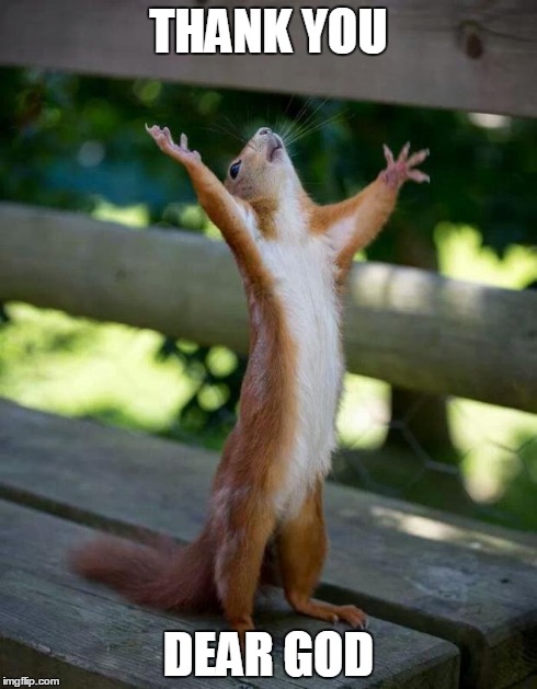 Happy Squirrel | THANK YOU DEAR GOD | image tagged in happy squirrel | made w/ Imgflip meme maker