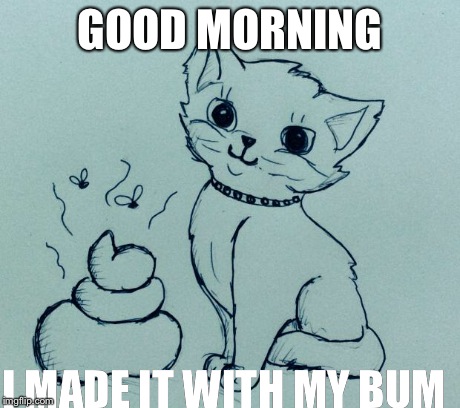 GOOD MORNING I MADE IT WITH MY BUM | image tagged in cat | made w/ Imgflip meme maker