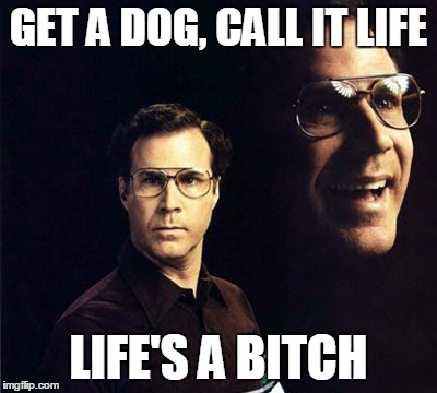 Will Ferrell Meme | GET A DOG, CALL IT LIFE LIFE'S A B**CH | image tagged in memes,will ferrell | made w/ Imgflip meme maker